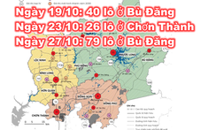 Cuối tháng 10, Bình Phước tiếp tục đấu giá 145 lô đất