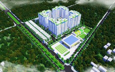 IEC Residences Quy Nhơn: Dự án chung cư tại Bình Định