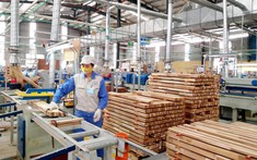 Đồng Nai sắp có khu công nghiệp rộng hơn 200 ha dành riêng cho các doanh nghiệp ngành gỗ