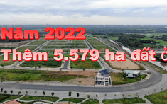 Hơn 5.500ha diện tích đất được chuyển sang đất ở trong năm 2022