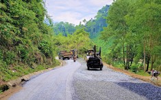 Quảng Nam báo cáo với Thủ tướng Chính phủ về phương án mở rộng, nâng cấp Quốc lộ 14D