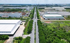 Trường hợp nào được miễn, giảm thuế sử dụng đất phi nông nghiệp?