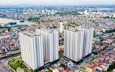 Golden Land 5: Dự án cải tạo căn hộ chung cư tại Hải Phòng