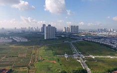 Tổ chức kinh tế là gì? Có được nhận chuyển nhượng quyền sử dụng đất nông nghiệp?