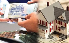 Nóng trong tuần:  Lãi suất giảm, có nên vay mua nhà lúc này?