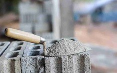 Từ nghiên cứu loài giun biển, Trung Quốc tạo ra loại VLXD mới có thể tiết kiệm năng lượng