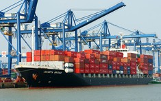 Kim ngạch xuất nhập khẩu vượt mốc 500 tỷ USD