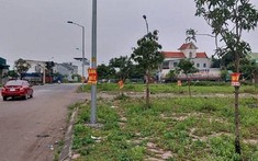 3 huyện ngoại thành Hà Nội sắp đấu giá gần trăm thửa đất, giá khởi điểm thấp nhất từ 7 triệu đồng/m2