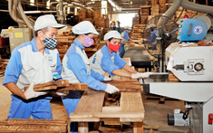 Đồng Nai sắp có trung tâm sản xuất và triển lãm đồ gỗ liên vùng quy mô 1.000 ha