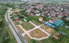 Nam Định chuẩn bị đấu giá hơn 5.500m2 đất, tổng giá khởi điểm hơn 147 tỷ đồng