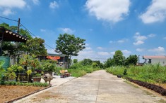 Ninh Bình tiếp tục đấu giá gần 400 lô