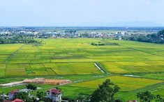 Những điều cần biết khi thuê đất nông nghiệp