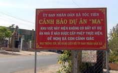 Thị trường đi xuống, lừa đảo gia tăng