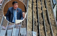 Sở hữu “kho báu” được cả thế giới săn lùng, Việt Nam sẽ khai thác như thế nào?