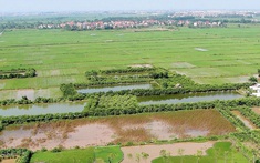 Có được mua đất nông nghiệp ở địa phương khác không?