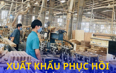 Xuất khẩu gỗ Việt Nam phục hồi, liên tiếp tháng thứ 4 đạt trên 1 tỷ USD