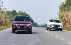 Doanh số phân khúc CUV cỡ C tháng 10/2023: Tucson bùng nổ nhưng chưa thể vượt qua "kẻ hủy diệt" CX-5