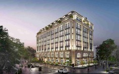 Nhận lại dự án 11A Cát Linh từ Tân Hoàng Minh, Thaiholdings tiếp tục chuyển nhượng, thu lãi 200 tỷ đồng