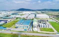 Đà Nẵng chuyển đổi hơn 43ha đất rừng để đầu tư khu công nghiệp tạo ra 26.700 tỉ đồng mỗi năm