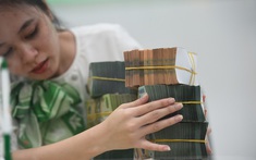 Ngân hàng chỉ đánh giá tài sản thế chấp, ít quan tâm dòng tiền của dự án bất động sản