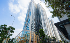 Cư dân Masteri West Heights háo hức nhận nhà mới