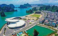 Quảng Ninh sắp đấu giá gần 3h “đất vàng”, giá khởi điểm 148 tỷ đồng