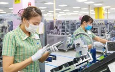 Xuất nhập khẩu của doanh nghiệp FDI đạt hơn 383 tỷ USD