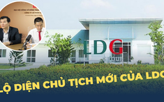 LDG có chủ tịch mới sau khi ông Nguyễn Khánh Hưng bị bắt