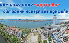 Năm loay hoay “vượt bão” của doanh nghiệp bất động sản