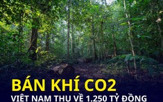 Bán khí CO2, 6 tỉnh Bắc Trung Bộ chia nhau hơn nghìn tỷ