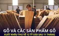 Một mặt hàng của Việt Nam được Mỹ và các nước châu Á cực kỳ ưa chuộng, xuất khẩu thu về hơn 12 tỷ USD sau 11 tháng