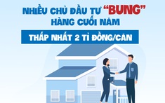 Nhiều chủ đầu tư “bung” hàng cuối năm, thấp nhất 2 tỉ đồng/căn