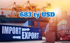 Xuất nhập khẩu Việt Nam năm 2023 đạt 683 tỷ USD