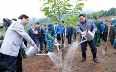 Thủ tướng yêu cầu tổ chức “Tết trồng cây đời đời nhớ ơn Bác Hồ” thiết thực, hiệu quả