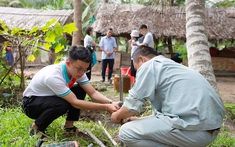 Đẩy mạnh Dự án Làm mới Chiến lược Ngân hàng và các công tác chuyển đổi mô hình hoạt động