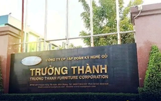 Gỗ Trường Thành dự định đổi tên thành TTF