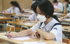 Gợi ý làm bài môn ngữ văn kỳ thi tuyển sinh lớp 10 THPT năm học 2024-2025 của Sở giáo dục và đạo tạo Tp. Hồ Chí Minh