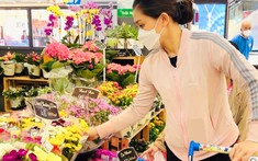 Co.opmart , Co.opXtra tăng nguồn hàng, khuyến mãi bánh tro, cơm rượu,... mừng tết Đoan ngọ