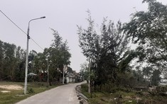 Đề xuất đầu tư khu đô thị sinh thái Ecopark tại Quảng Nam quy mô 2.600 ha