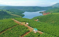 Lâm Đồng: Novaland đề xuất tăng diện tích quy hoạch dự án hồ Đăk Long Thượng từ 30.000 ha lên 32.434 ha