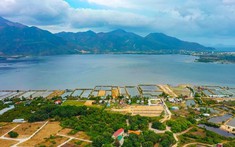 Làm gì khi lạc giữa “rừng” thông tin sốt đất?