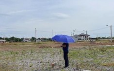 Hy hữu một cuộc đấu giá có đến 90% số lô đất bị bỏ cọc