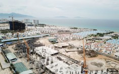 “Bầm dập” vì dịch bệnh nhưng đây là phân khúc sẽ tăng giá mạnh, nhà đầu tư không nên bõ lỡ