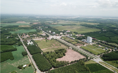 Bất động sản Nhơn Trạch: 16 dự án bị hủy thu hồi đất vì “đứng im” quá 3 năm