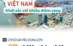 Bức tranh kinh tế Việt Nam 8 tháng: Khởi sắc với nhiều điểm sáng
