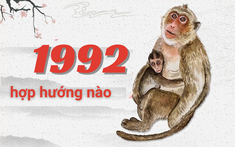 Sinh Năm 1992 Hợp Hướng Nào? 4 Hướng Đẹp Tuổi 1992 Nên Chọn Khi Làm Nhà