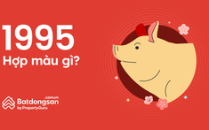 Tuổi 1995 Hợp Màu Gì Nhất? Ứng Dụng Vào Thiết Kế Nhà Ở