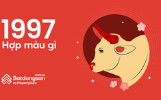 Tuổi 1997 Hợp Màu Gì? Khám Phá Màu Sắc May Mắn và Hợp Phong Thủy Tuổi Đinh Sửu