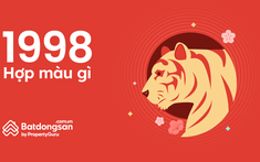 Tuổi 1998 Hợp Màu Gì: Khám Phá Màu Sắc May Mắn và Hợp Phong Thủy Tuổi Mậu Dần