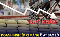 “Sức khỏe” của doanh nghiệp xi măng qua những con số biết nói